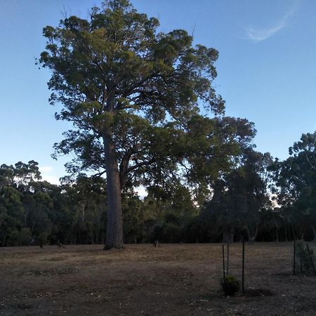 Margaret House Apartment Margaret River Bagian luar foto
