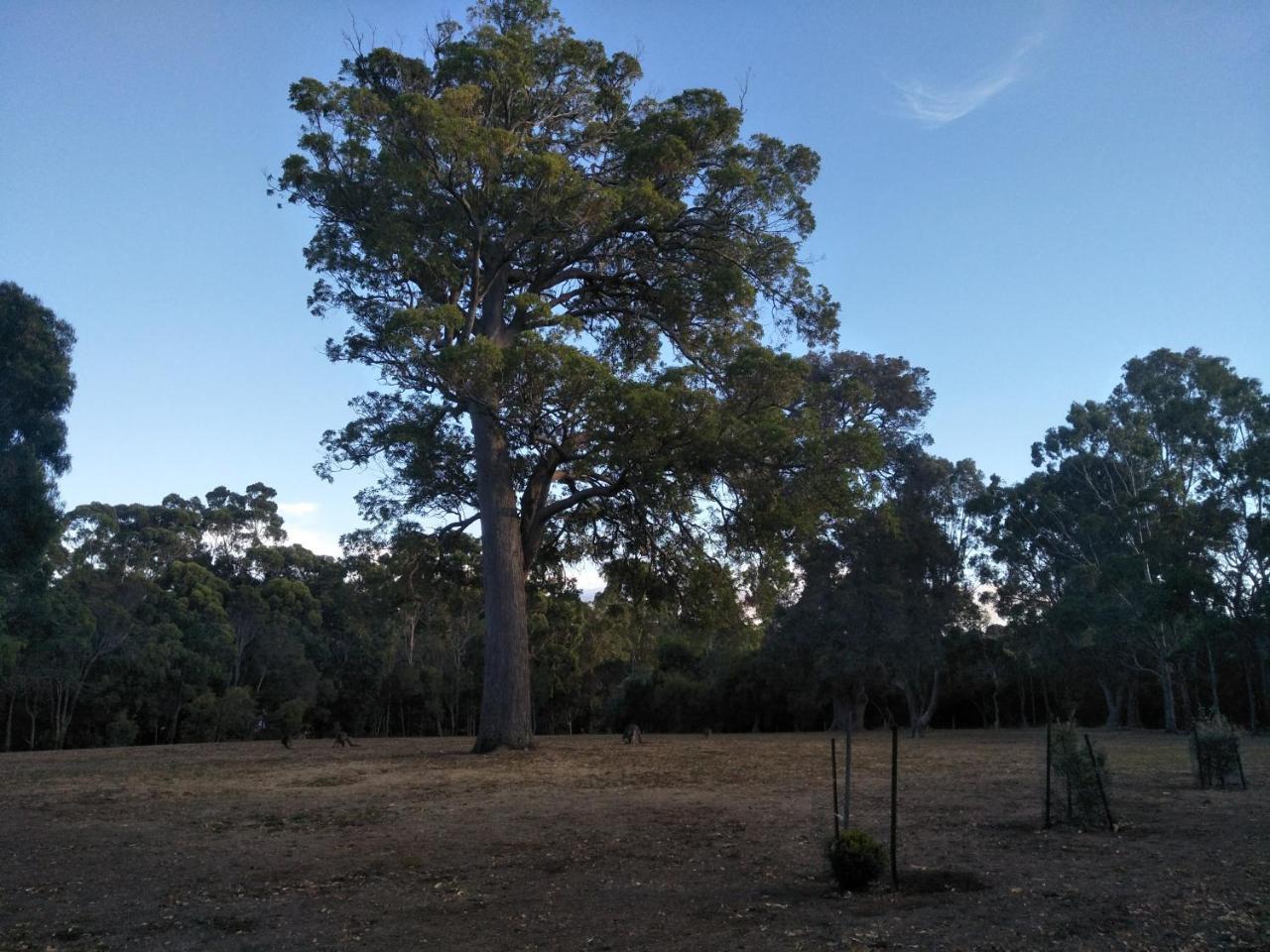 Margaret House Apartment Margaret River Bagian luar foto