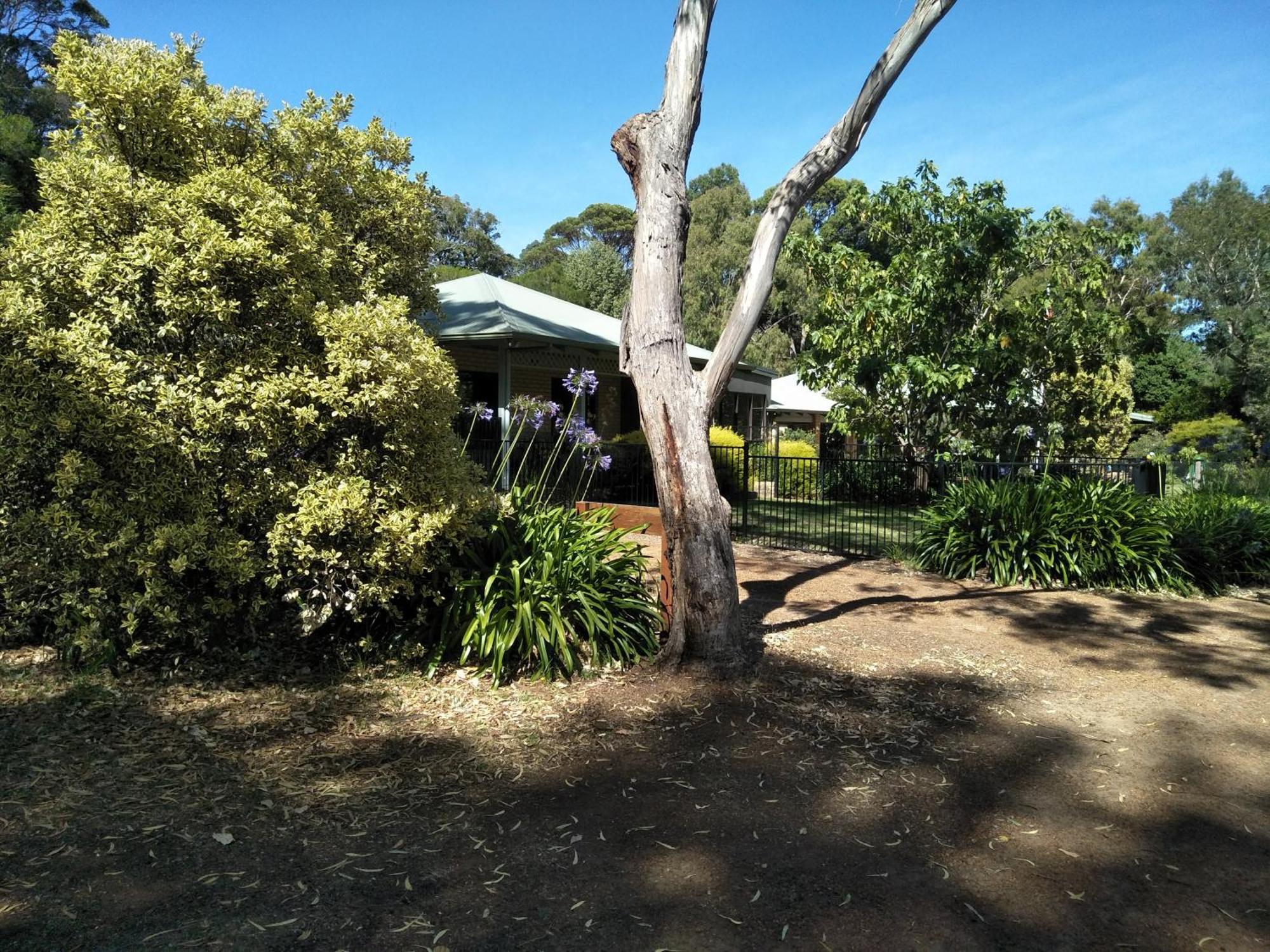 Margaret House Apartment Margaret River Bagian luar foto